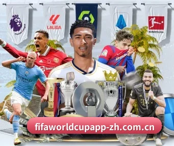畅享世界杯 APP - FIFA WorldCUP